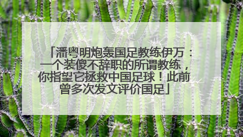 潘粤明炮轰国足教练伊万：一个装傻不辞职的所谓教练，你指望它拯救中国足球！此前曾多次发文评价国足