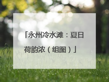 永州冷水滩：夏日荷韵浓（组图）