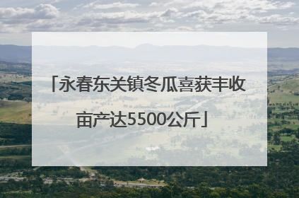 永春东关镇冬瓜喜获丰收 亩产达5500公斤