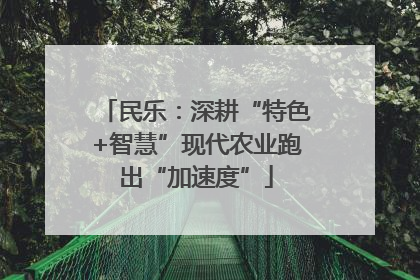 民乐：深耕“特色+智慧”现代农业跑出“加速度”