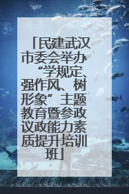 民建武汉市委会举办“学规定、强作风、树形象”主题教育暨参政议政能力素质提升培训班