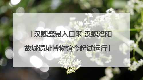 汉魏盛景入目来 汉魏洛阳故城遗址博物馆今起试运行