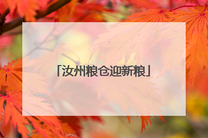 汝州粮仓迎新粮