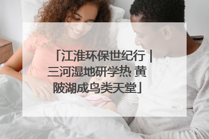 江淮环保世纪行｜三河湿地研学热 黄陂湖成鸟类天堂