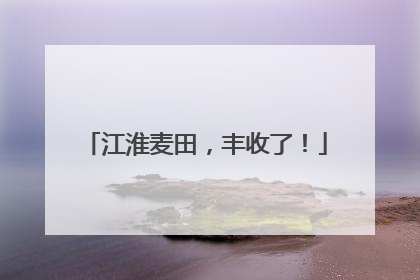 江淮麦田，丰收了！