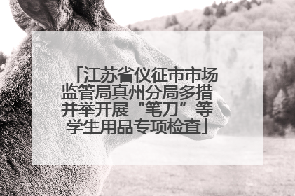 江苏省仪征市市场监管局真州分局多措并举开展“笔刀”等学生用品专项检查