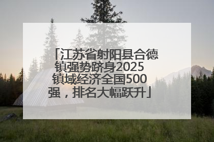 江苏省射阳县合德镇强势跻身2025镇域经济全国500强，排名大幅跃升