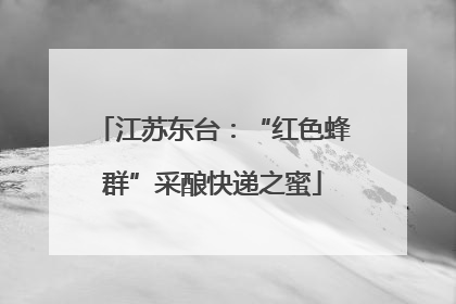 江苏东台：“红色蜂群”采酿快递之蜜