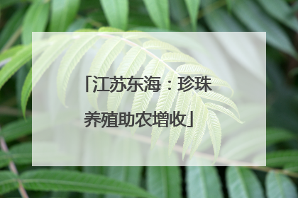 江苏东海：珍珠养殖助农增收