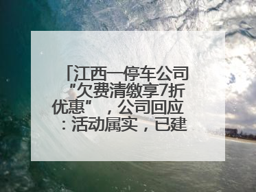 江西一停车公司“欠费清缴享7折优惠”，公司回应：活动属实，已建立常态化诉讼追缴机制
