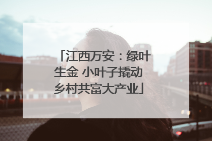 江西万安：绿叶生金 小叶子撬动乡村共富大产业