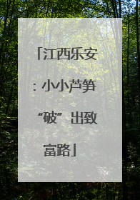 江西乐安：小小芦笋“破”出致富路