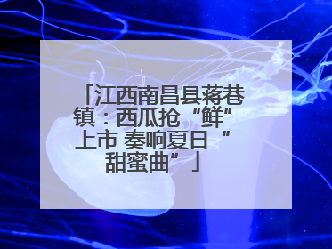 江西南昌县蒋巷镇：西瓜抢“鲜”上市 奏响夏日“甜蜜曲”