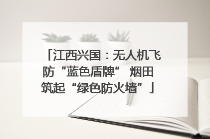 江西兴国：无人机飞防“蓝色盾牌” 烟田筑起“绿色防火墙”