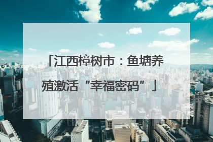 江西樟树市：鱼塘养殖激活“幸福密码”