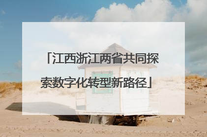 江西浙江两省共同探索数字化转型新路径