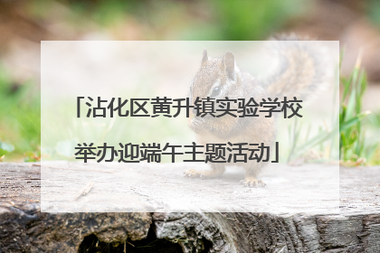 沾化区黄升镇实验学校举办迎端午主题活动