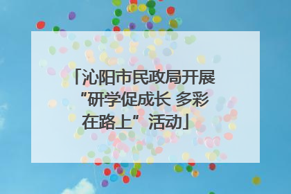 沁阳市民政局开展“研学促成长 多彩在路上”活动