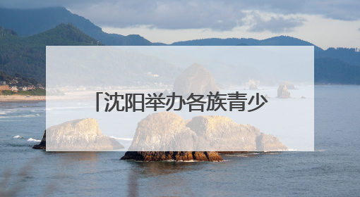 沈阳举办各族青少年“看沈阳、爱沈阳”高校行活动