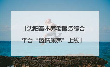 沈阳基本养老服务综合平台“盛情康养”上线