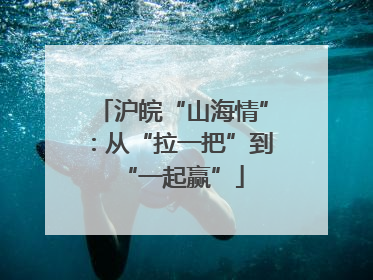 沪皖“山海情”：从“拉一把”到“一起赢”