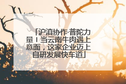 沪滇协作·普陀力量〡当云南牛肉遇上意面，这家企业迈上自研发展快车道