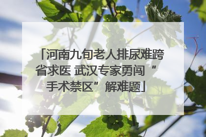 河南九旬老人排尿难跨省求医 武汉专家勇闯“手术禁区”解难题