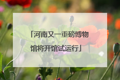 河南又一重磅博物馆将开馆试运行