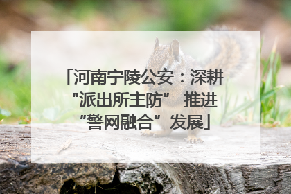 河南宁陵公安：深耕“派出所主防” 推进“警网融合”发展