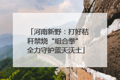 河南新野：打好秸秆禁烧“组合拳” 全力守护蓝天沃土