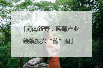 河南新野：蓝莓产业绘就振兴“蓝”图