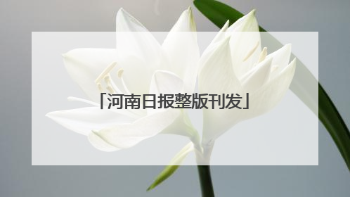 河南日报整版刊发