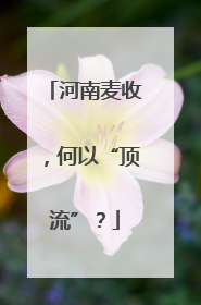 河南麦收，何以“顶流”？