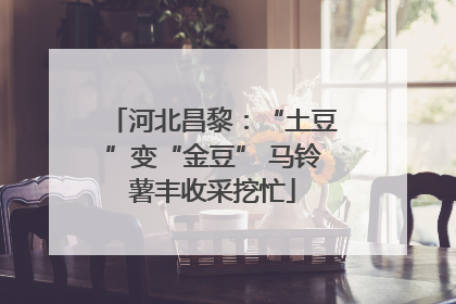 河北昌黎：“土豆”变“金豆” 马铃薯丰收采挖忙