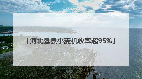 河北蠡县小麦机收率超95%