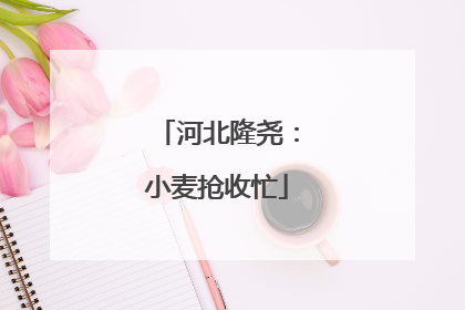 河北隆尧：小麦抢收忙