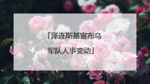 泽连斯基宣布乌军队人事变动