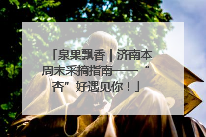 泉果飘香｜济南本周末采摘指南——“杏”好遇见你！