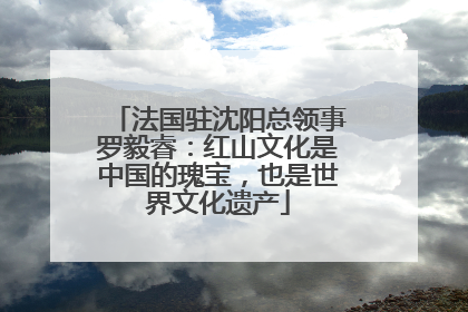 法国驻沈阳总领事罗毅睿：红山文化是中国的瑰宝，也是世界文化遗产