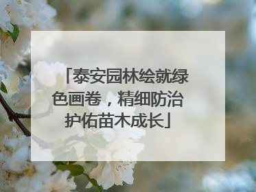 泰安园林绘就绿色画卷，精细防治护佑苗木成长