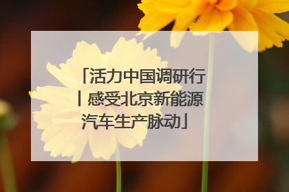 活力中国调研行丨感受北京新能源汽车生产脉动