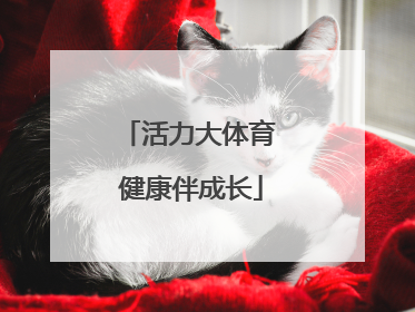 活力大体育 健康伴成长