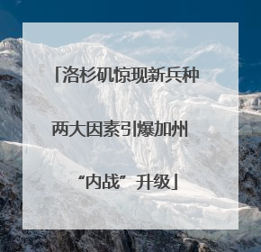 洛杉矶惊现新兵种 两大因素引爆加州“内战”升级