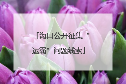海口公开征集“运霸”问题线索