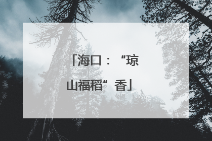 海口：“琼山福稻”香