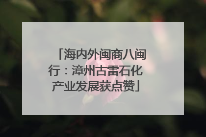 海内外闽商八闽行：漳州古雷石化产业发展获点赞