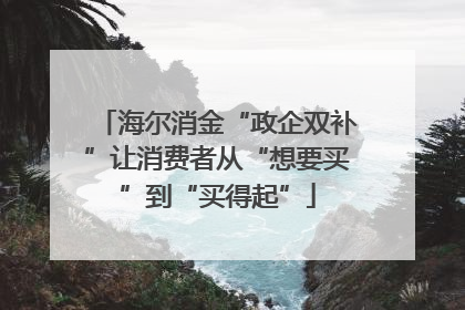 海尔消金“政企双补”让消费者从“想要买”到“买得起”