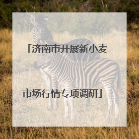 济南市开展新小麦市场行情专项调研