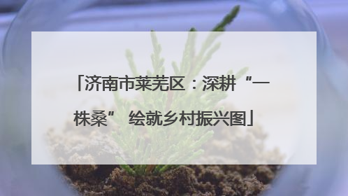 济南市莱芜区：深耕“一株桑” 绘就乡村振兴图