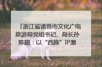 浙江省诸暨市文化广电旅游局党组书记、局长孙陈超：以“西施”IP激活全域旅游 打造县域文旅融合新标杆｜第七届全国县域旅游研究成果发布系列活动